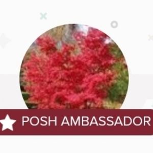 Posh Ambassador - Blessed Closet by Trinity Wealth